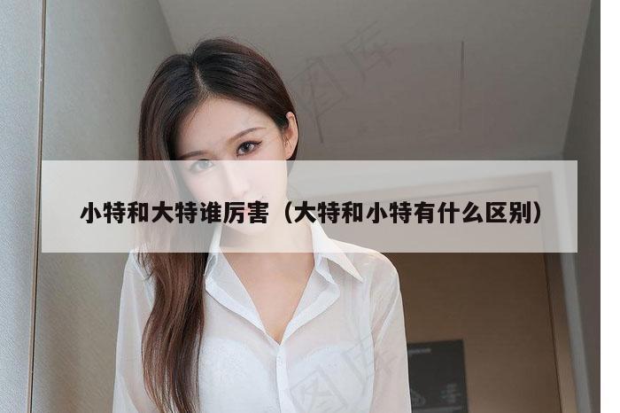 小特和大特谁厉害（大特和小特有什么区别）
